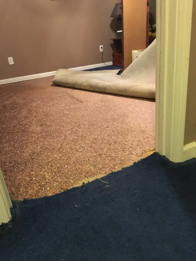 Carpet pad removal revealing water damage during Drying & Dehumidification in Moscow