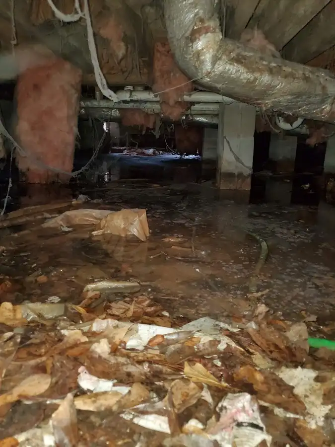 Crawl space flood assessment for Commercial Water Damage Restoration in Moscow